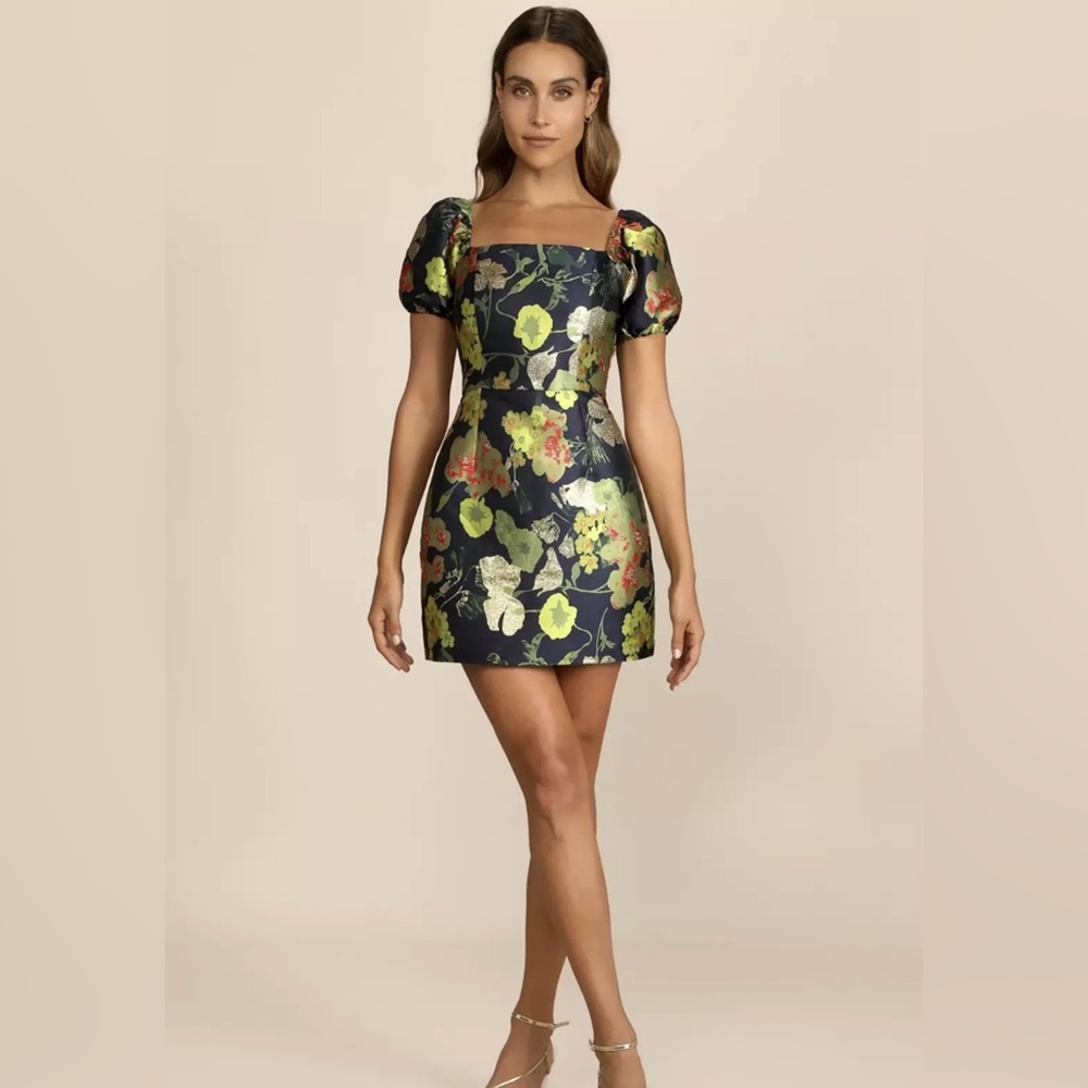LuLus Floral Puff Sleeve Dress NWT